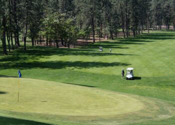 What The Heck “IS” A BoBirdie?