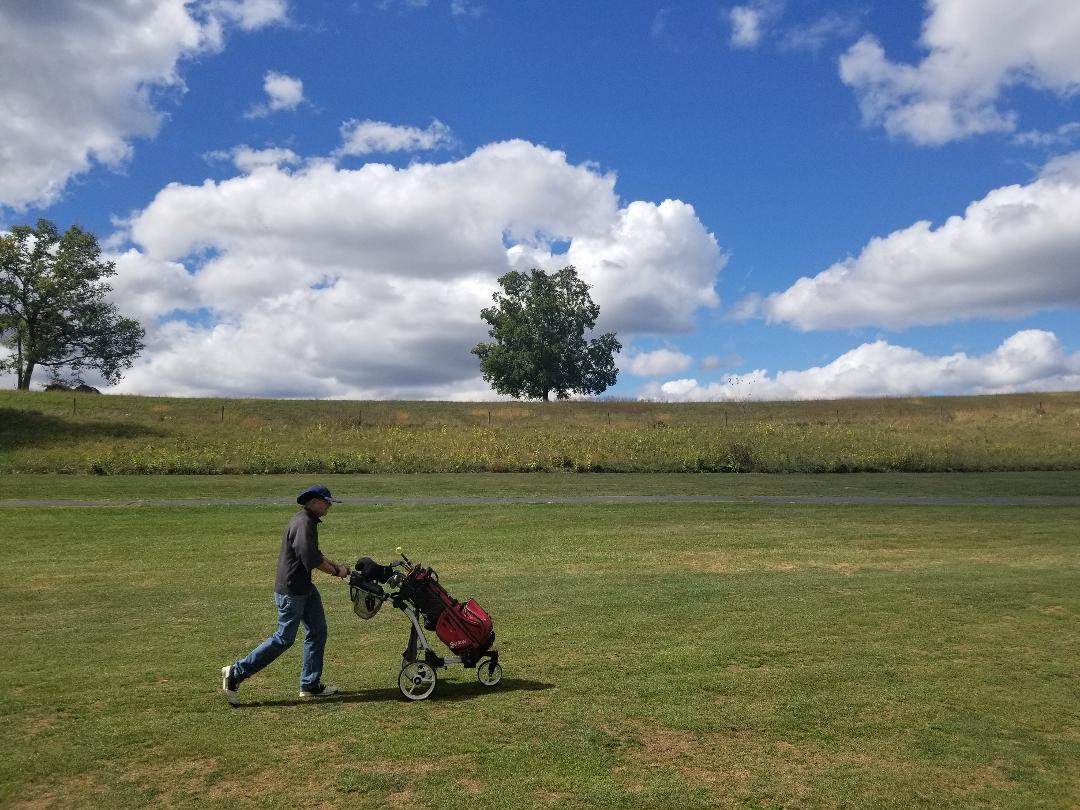 Golf Ball Hunter on grass