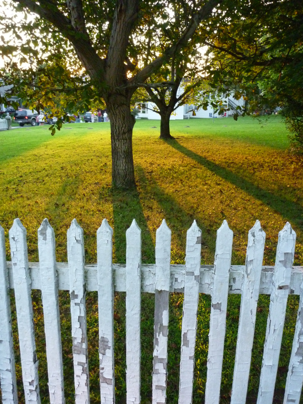 Photo of a white picket fence