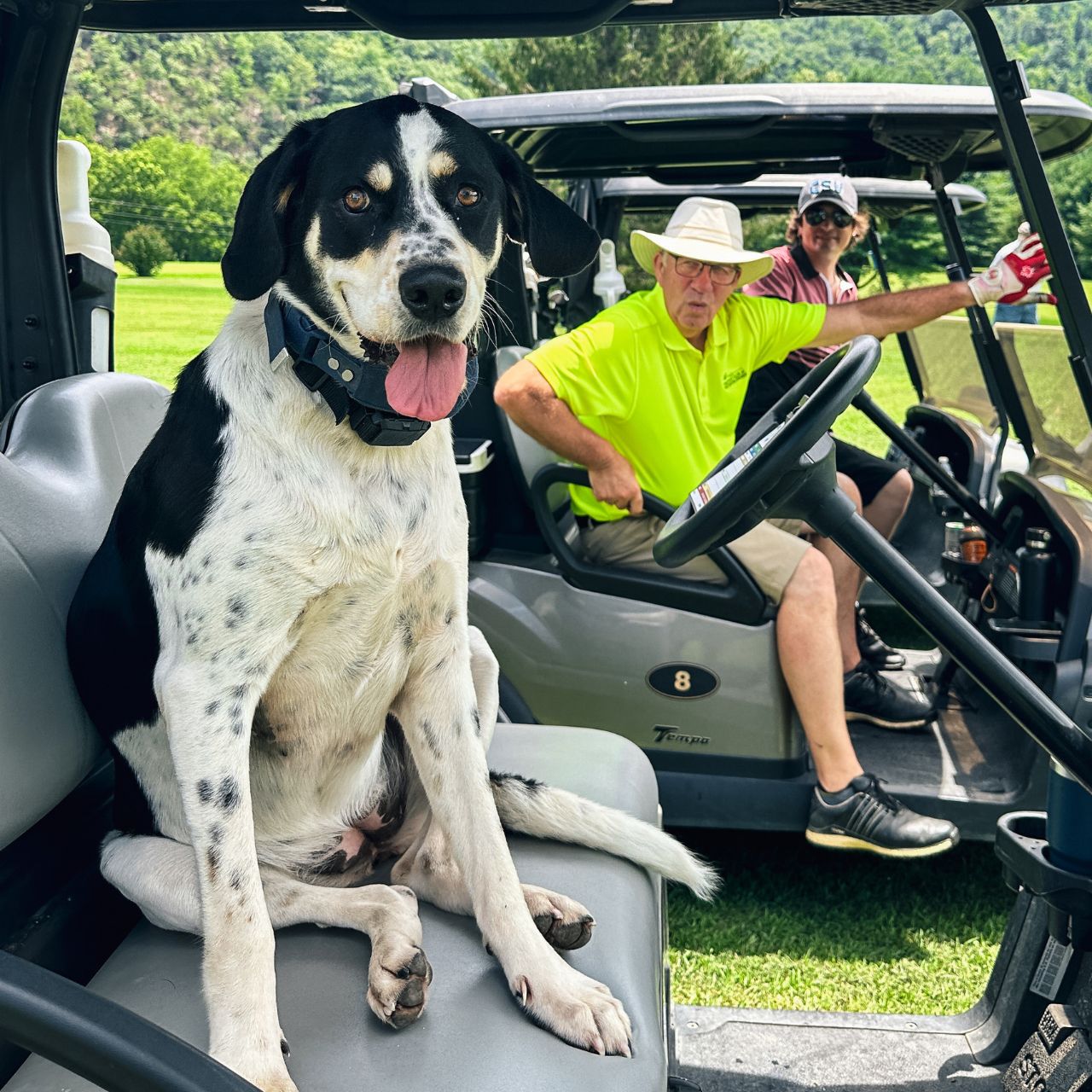 Cliff View Golf Clubin Covington