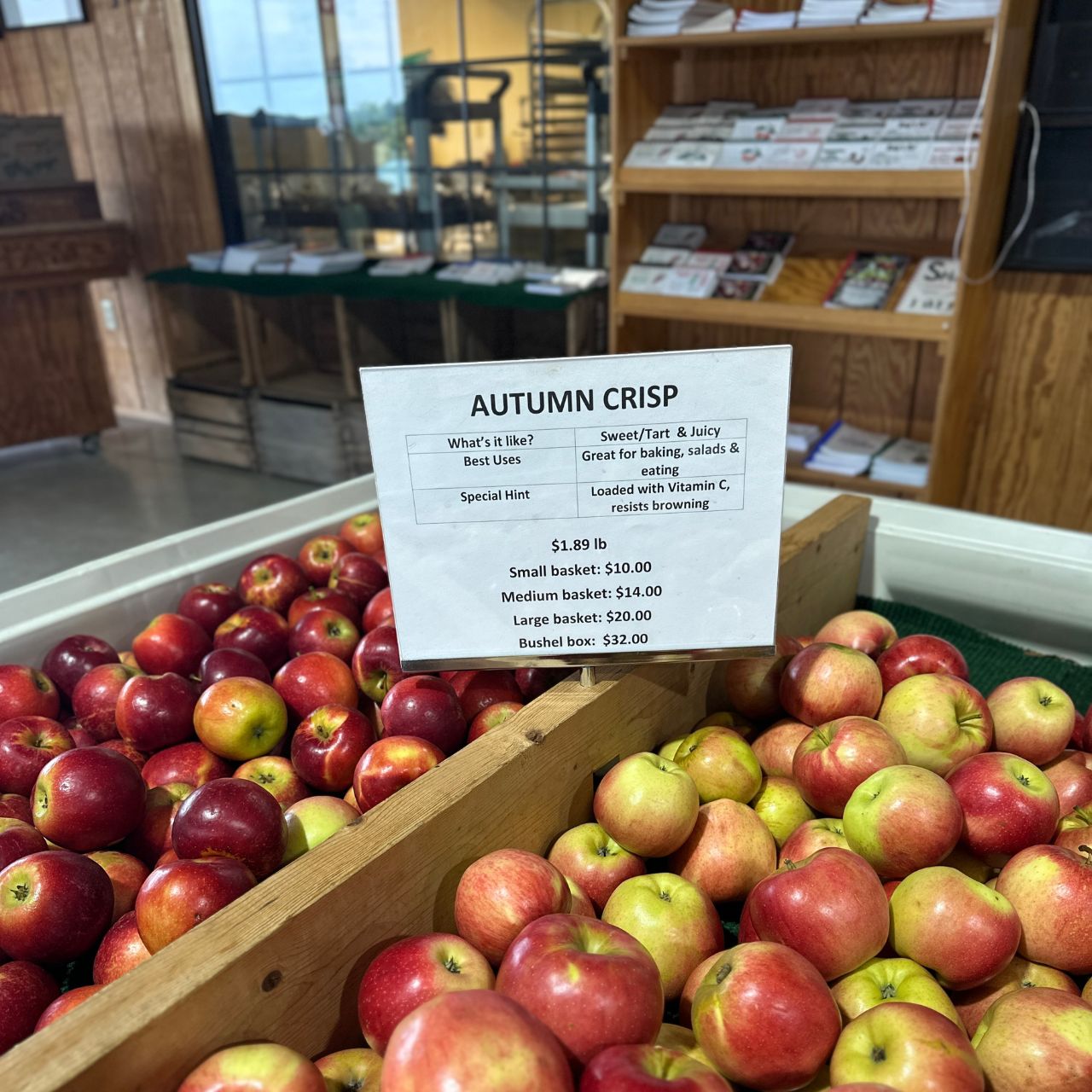 Roots, Swings, and Cider